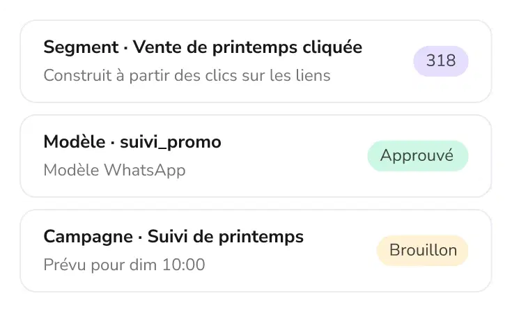Segment, modèle et campagne préparés par TopAgent