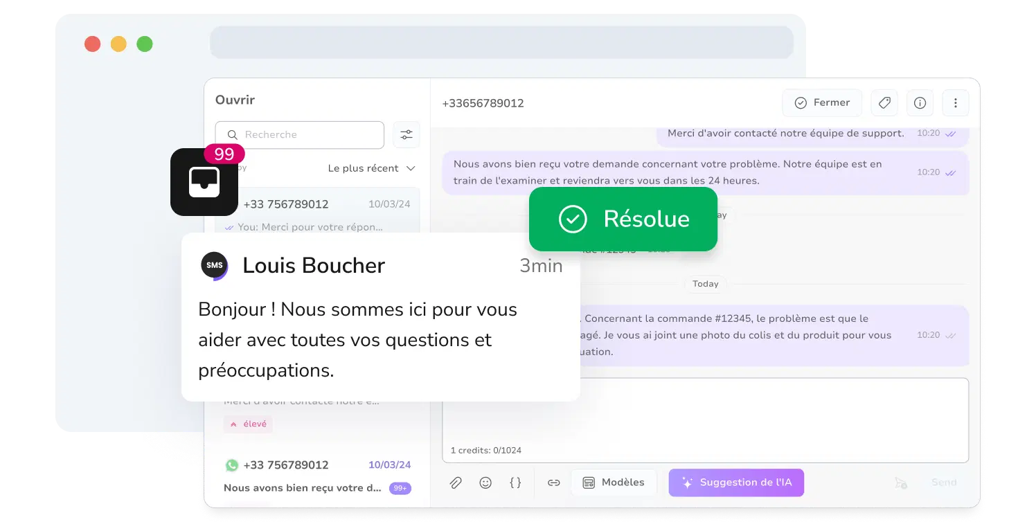 Capture d'écran du gestionnaire SMS de TopMessage avec les conversations SMS résolues.