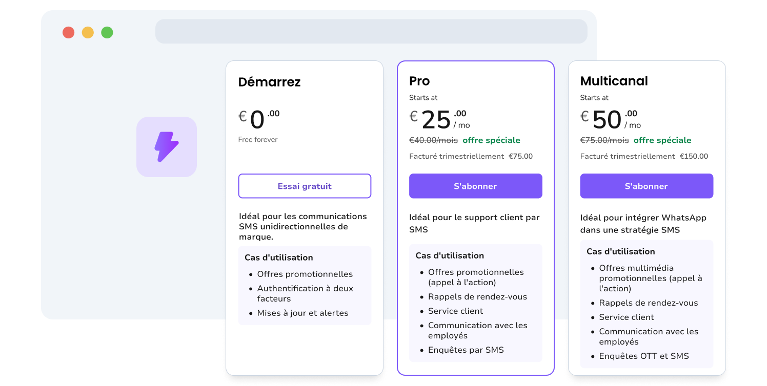 Capture d'écran de la page des options tarifaires de TopMessage.
